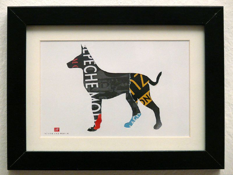 dobermann rahmen kunstdruck art print